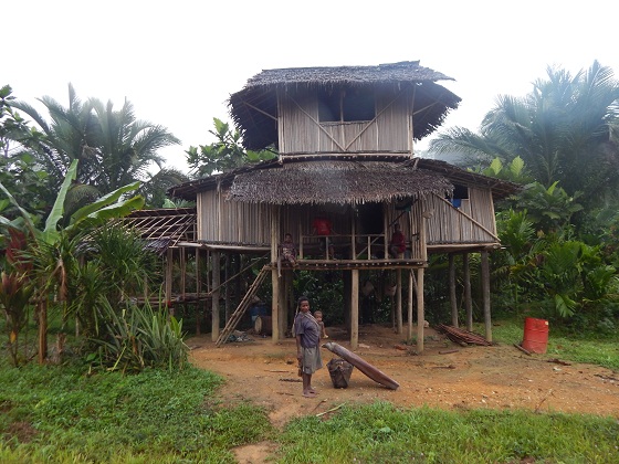 traditional building in papua new guinea