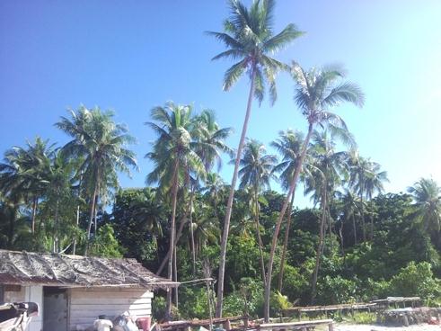 indonesian-beach