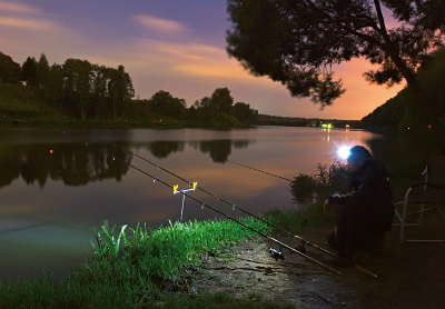 ночная рыбалка на донную удочку