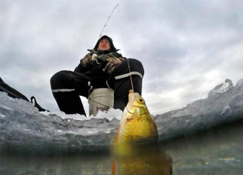 ловля рыбы зимой