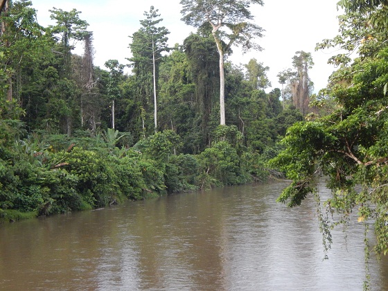природа папуа новой гвинеи реки