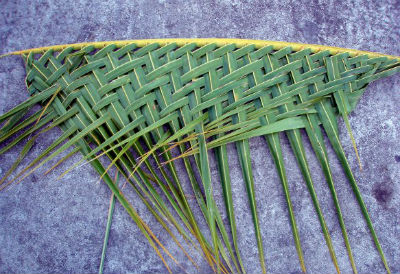 плетение из пальмовых листьев