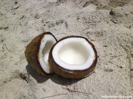 Структура кокоса