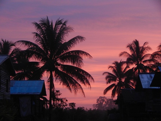 восход солнца в тропиках