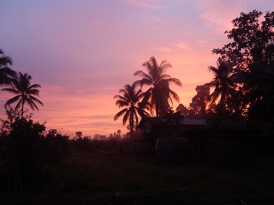 восход солнца тропики
