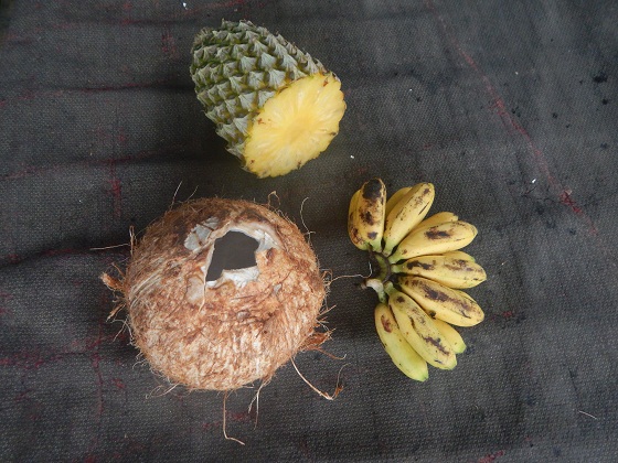 тропические фрукты папуа новая гвинея