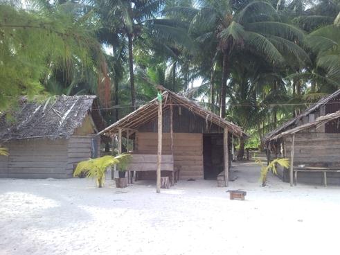 tropical-hut